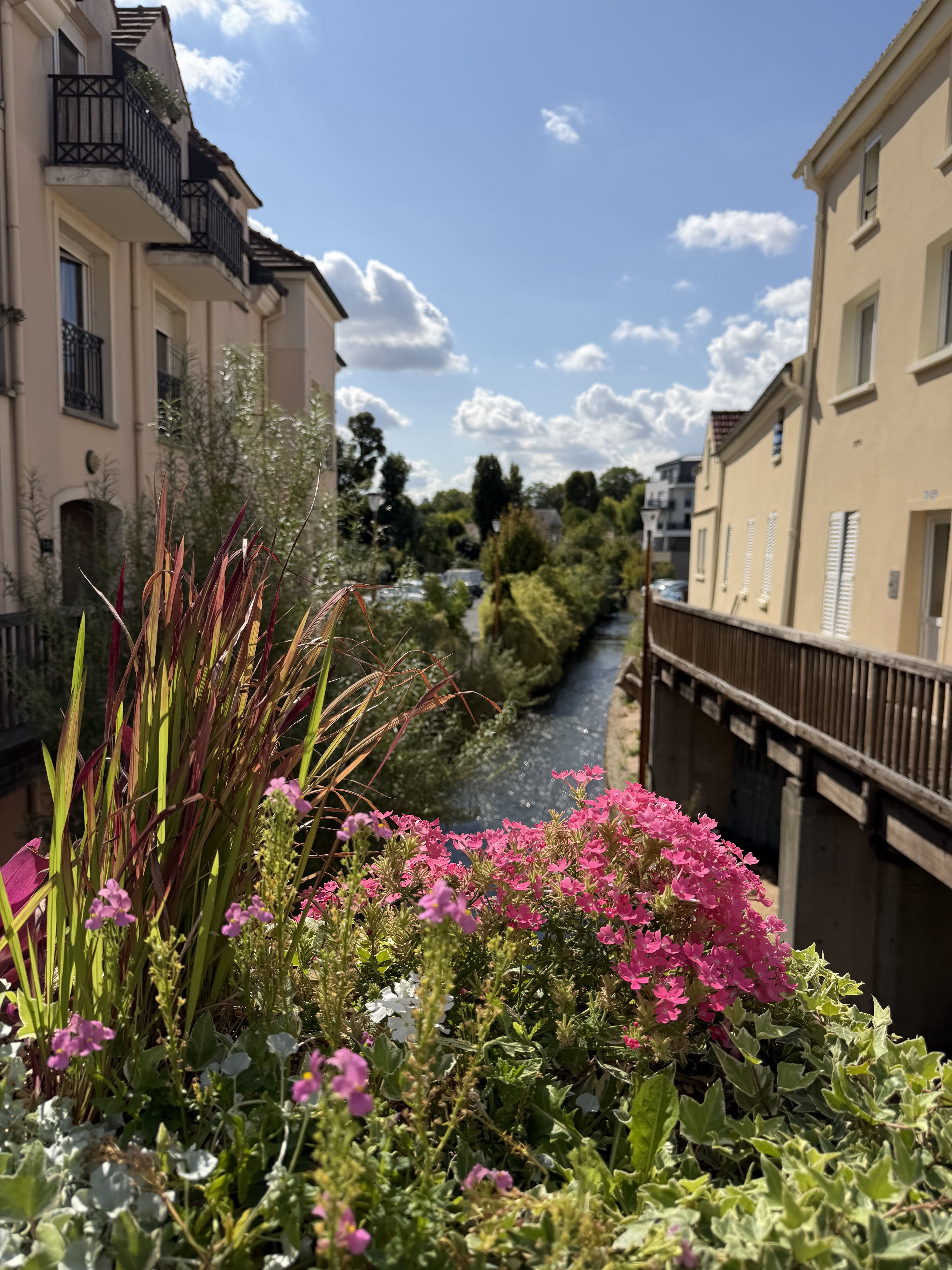 https://app.neshimo.fr/storage/10/mandats/1602/1.JPG