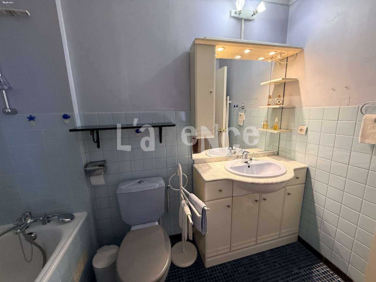 https://app.neshimo.fr/storage/10/mandats/1638/7.JPG