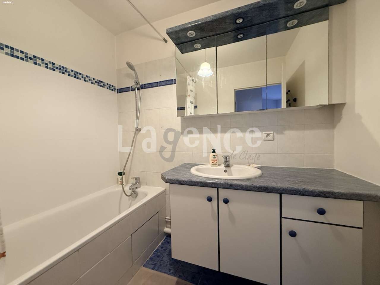 https://app.neshimo.fr/storage/10/mandats/1641/7.JPG
