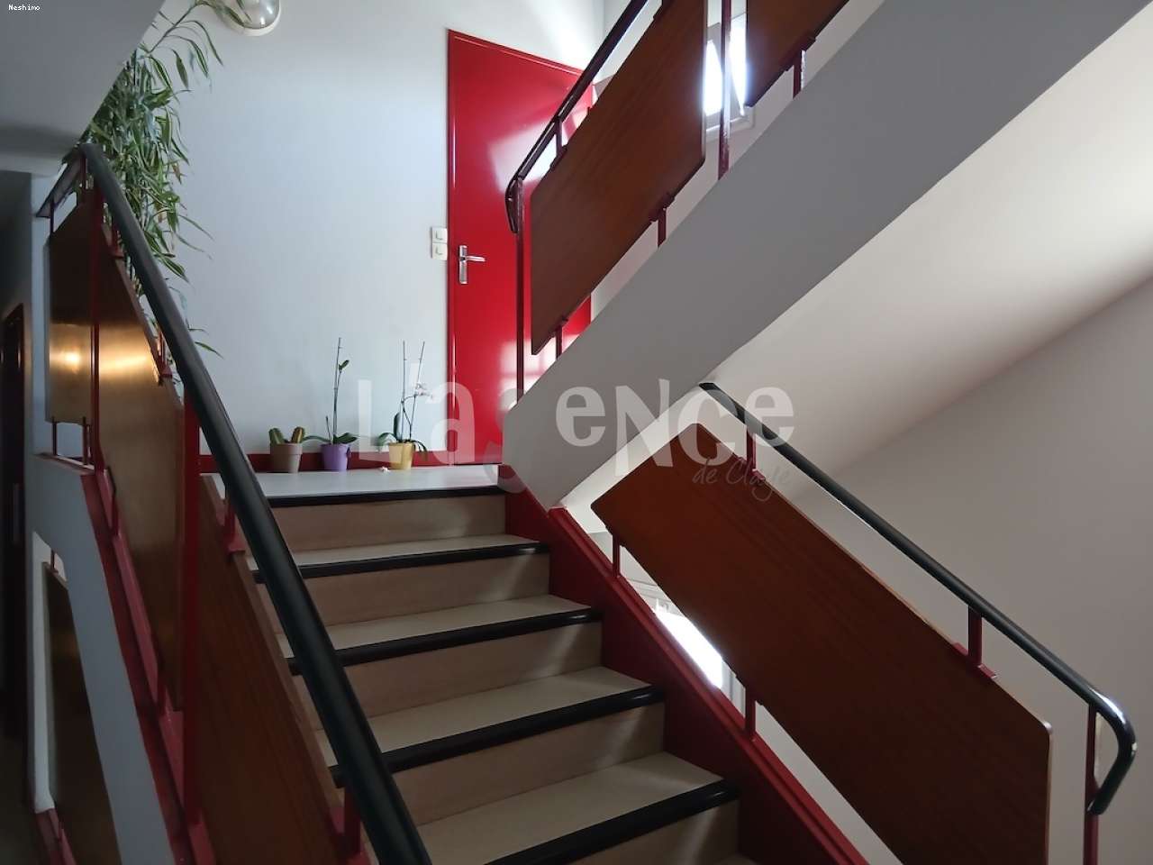 https://app.neshimo.fr/storage/10/mandats/1662/6.jpg